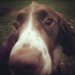 Meet your Posher, Holly